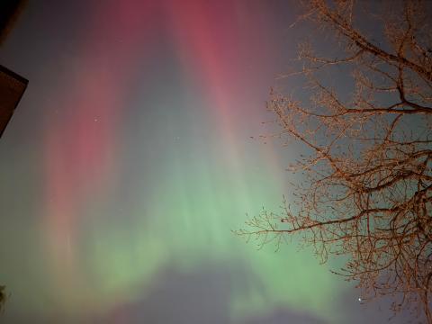 Northern Lights